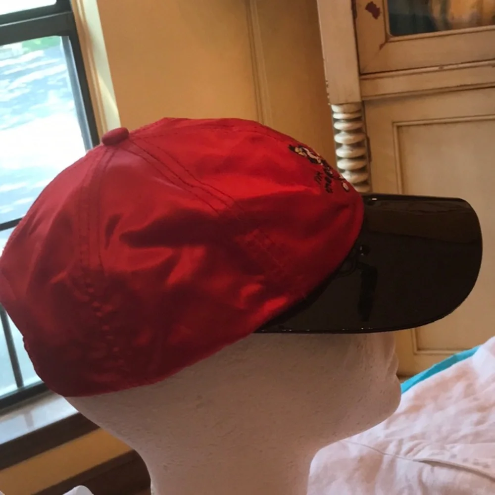 Animaniacs cap